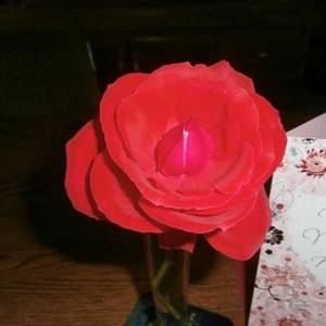 Meet your Posher, Barbara neil